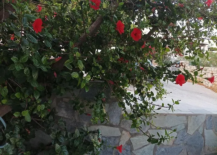 Apartment Nektarias No3 Naoussa