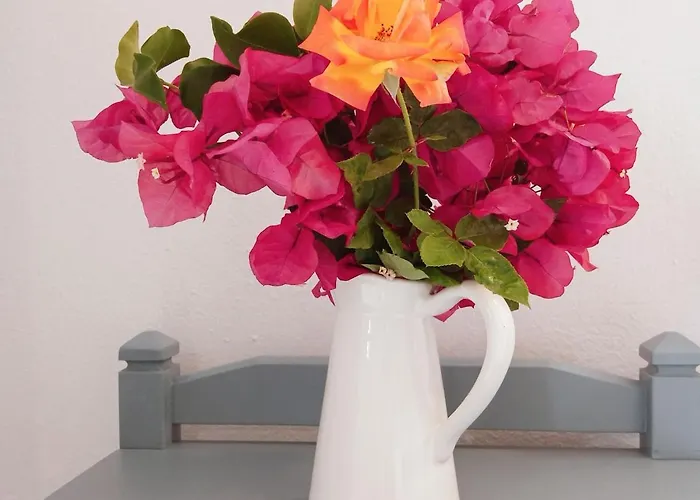 Apartment Nektarias No3