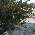 Apartman Nektarias No3 Náusza