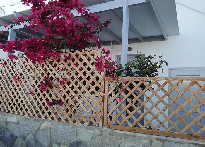 Nektarias No3 * Naousa (Paros)