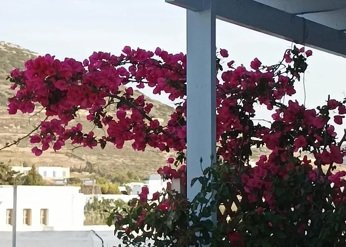 Nektarias No3 Apartment Naousa (Paros)